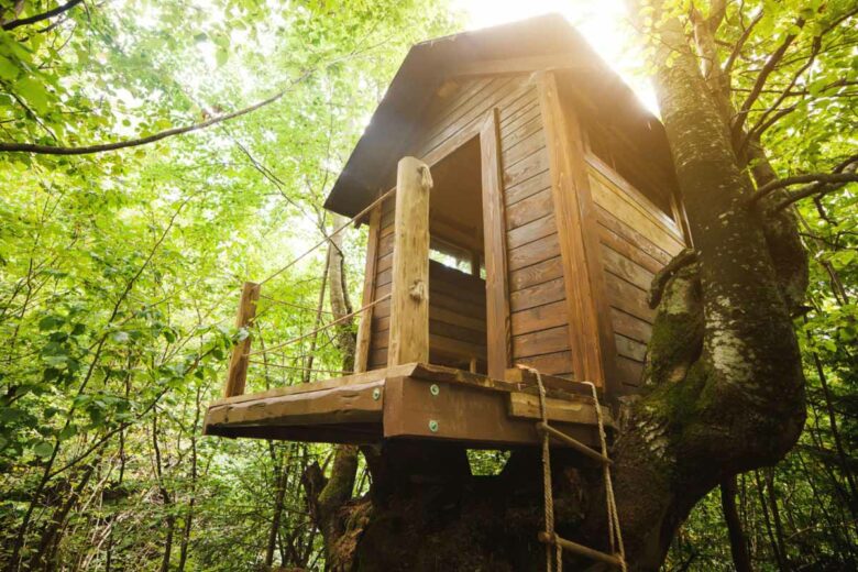 Que dit la loi au sujet des cabanes dans les arbres ?