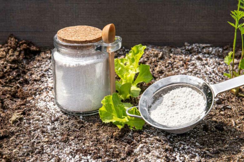 La terre de diatomée utilisée au jardin comme répulsif.