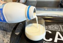 Le lait périmé (ou non) a des bienfaits et des utilisations insoupçonnés.