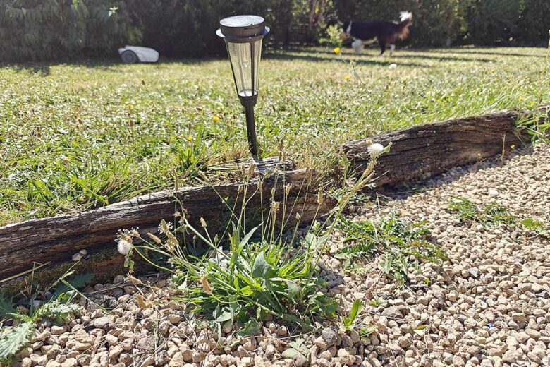 Comment se débarasser des mauvaises herbes avec une solution naturelle ?