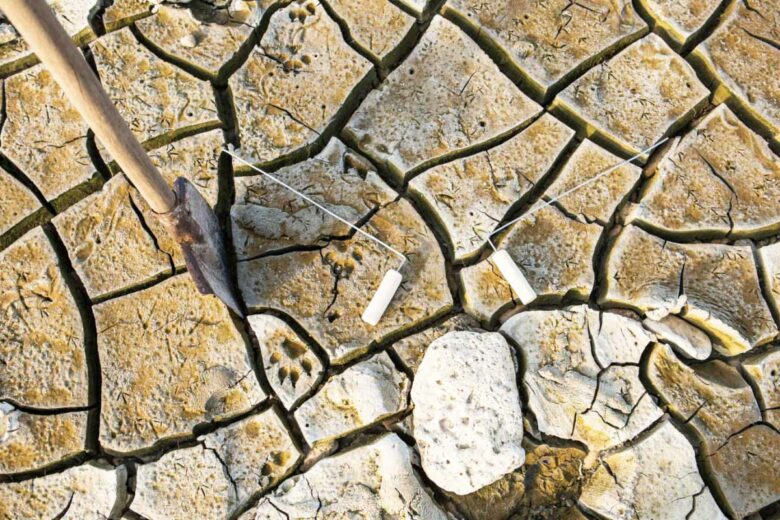 Rechercher de l'eau sur un sol aride à l'aide de baguettes de sourcier.