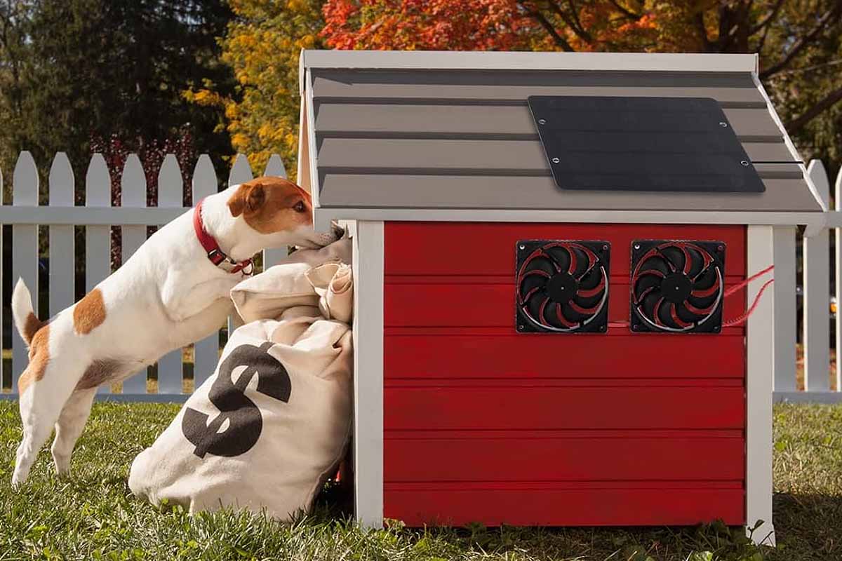 Et si vous pouviez ventiler la niche du chien par ces fortes chaleurs ?