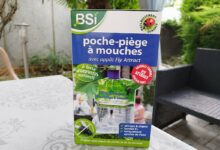 La poche piège à mouche BSI : elle est redoutable !