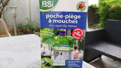 La poche piège à mouche BSI : elle est redoutable !