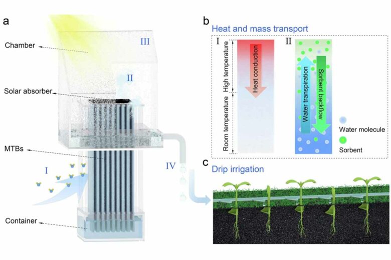 Schéma de l'architecture du système et du processus de production d'eau douce (a), qui comprend (I) la capture de l'eau atmosphérique par la partie inférieure de la structure des MTB exposée à l'environnement, (II) la génération de vapeur alimentée par l'énergie solaire à partir de la partie supérieure de la structure des MTB enfermée dans une chambre, (III) la condensation de vapeur sur la surface intérieure de la chambre, et (IV) la collecte d'eau douce à partir de la condensation. b Illustration du transport de chaleur et de masse. (I) : La chaleur générée par l'absorbeur solaire est conduite vers le bas le long des MTB. (II) : Lorsque la vapeur est libérée, les sorbants sont entraînés vers le bas le long des MTB en raison du gradient de concentration, tandis que les molécules d'eau capturées sont transpirées, voyageant vers le haut le long des MTB. c Illustration de l'irrigation hors réseau en dirigeant l'eau produite (à partir de a ) vers les racines des plantes.