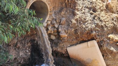 De la chasse d'eau au carburant, une entreprise va transformer les eaux usées en énergie hydrogène.