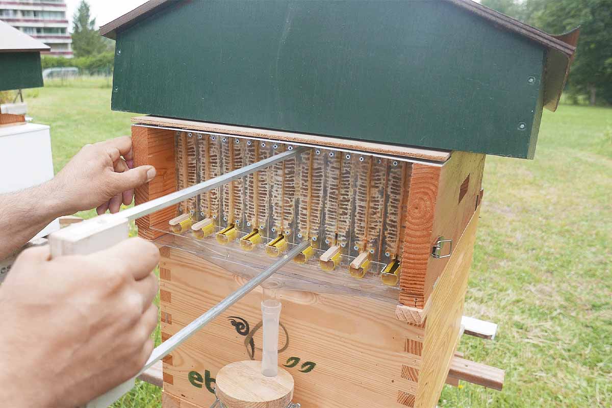 Un système qui permet de récolter le miel sans déranger les abeilles.