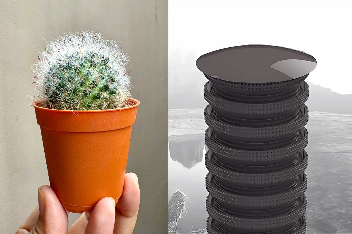 Une invention biomimétique inspirée des cactus capable de collecter l'eau présente dans l'air ambiant par condensation.