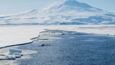 Une mission d'exploration vient de mettre en avant d'autres modèles de fonte en Antarctique.