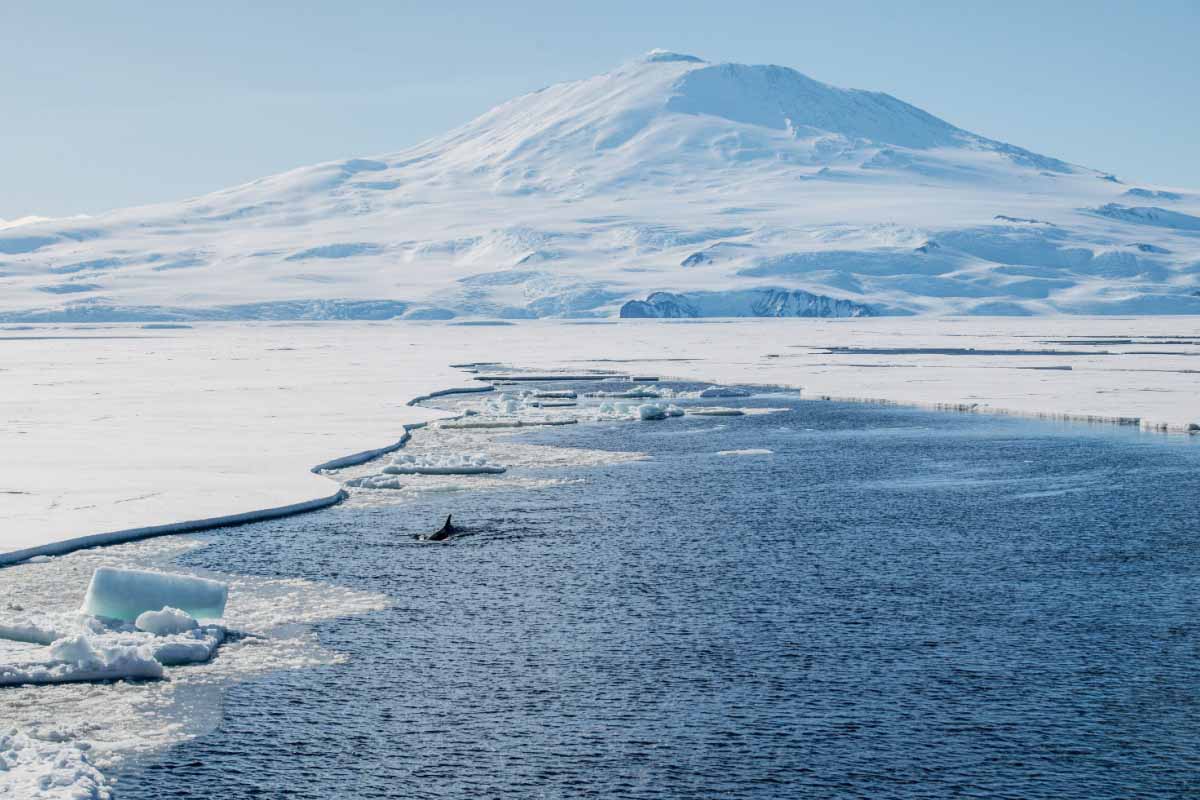 Une mission d'exploration vient de mettre en avant d'autres modèles de fonte en Antarctique.