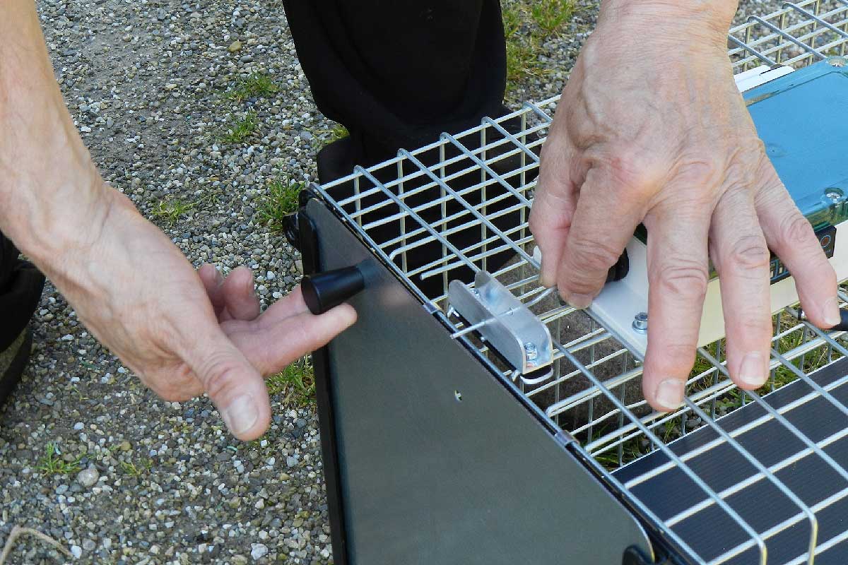 La capture des chats errants peut s'avérer difficile sans une cage adaptée. Crédit photo : Caisses-pièges télécommandées (capture d'écran vidéo Facebook)