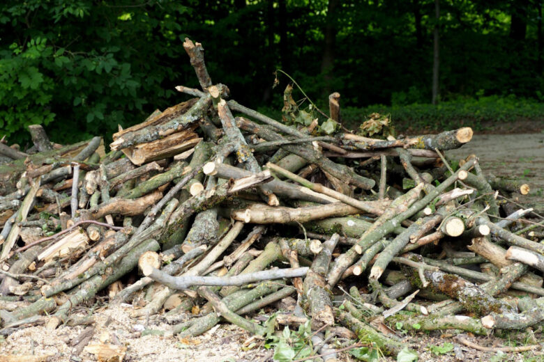 Il existe un droit d'affouage dans certaines communes qui autorise de prélever du bois.