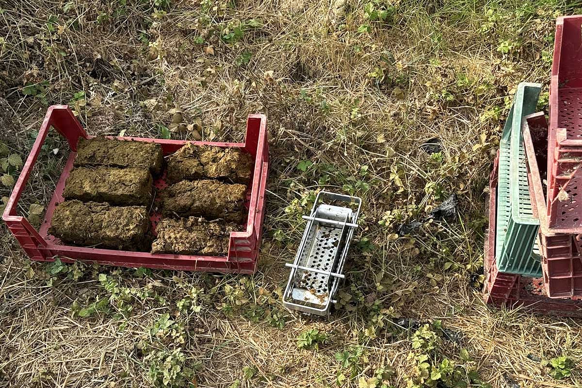 Recyclez vos journaux, vos magazines, cartons et même le crottin avec une presse à briquette. Vous aurez ainsi de petites buches pour l'allumage de votre cheminée ou votre poêle.