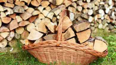 Comment conserver au mieux son bois de chauffage ?