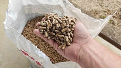 Brico Dépôt propose actuellement plusieures marques de pellets à un tarif imbattable.