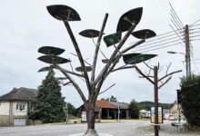 Un arbre solaire pour recharger ses smartphones et ordinateurs portables.