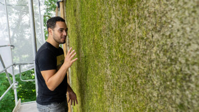 L'entreprise Respyre crée des murs végétalisés avec un béton ou la mousse pousse.