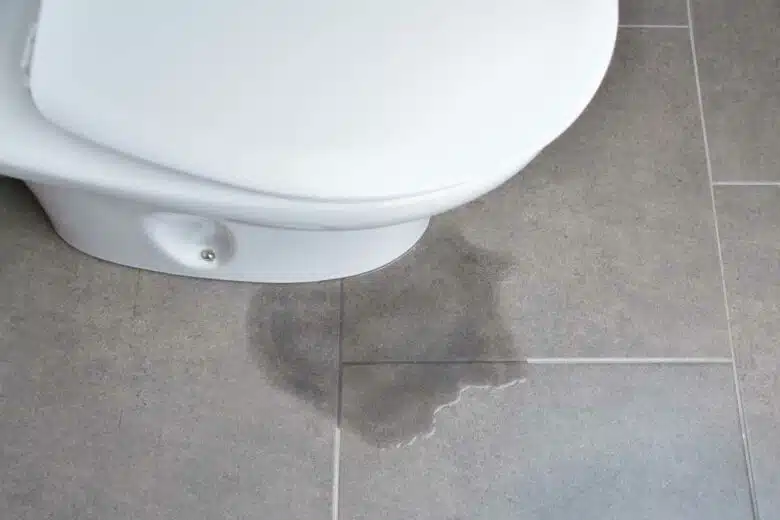 Une fuite de vos toilettes peut vite devenir un gros problème.