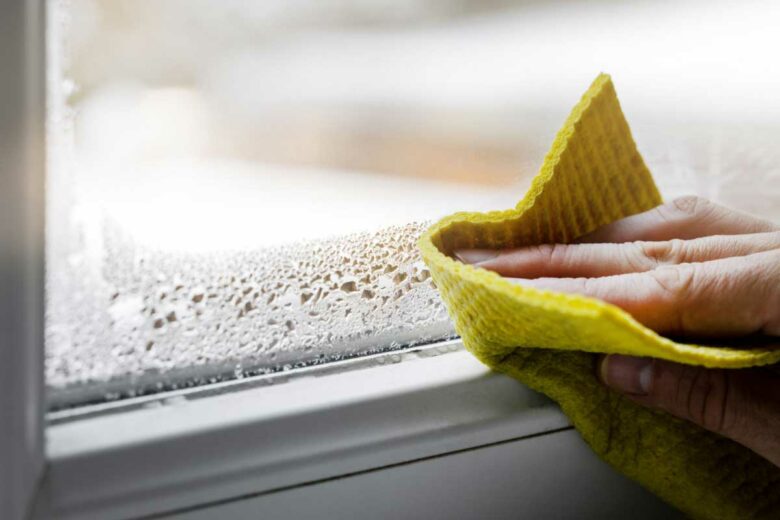 La condensation sur les fenêtres peut être un signe que votre intérieur est trop humide.