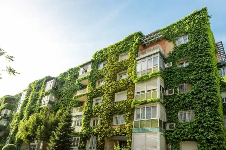 Mur végétalisé sur un bâtiment en ville.