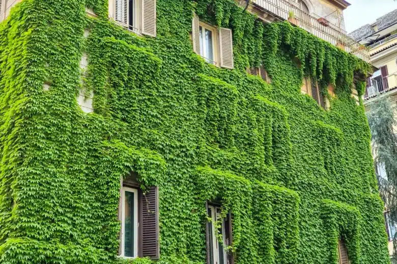 Un bâtiment italien avec une façade recouverte de lierre.