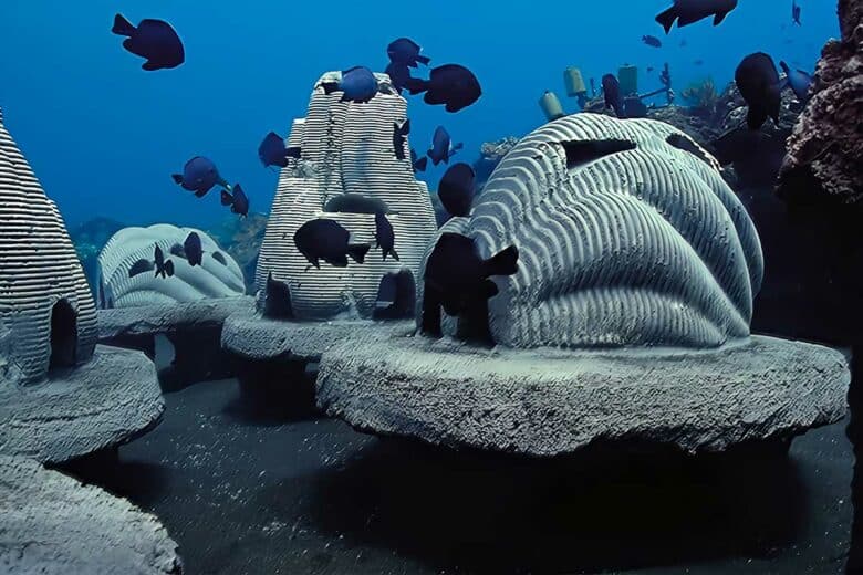 Des récifs marins à base de cendres animales pour restaurer l'écosystème.