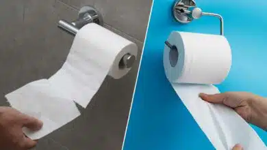 Papier toilette qui se déroule vers l'avant et vers l'arrière.