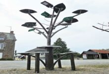 Un arbre solaire qui permet de recharger ses appareils électroniques.