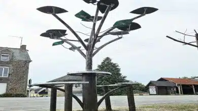 Un arbre solaire qui permet de recharger ses appareils électroniques.