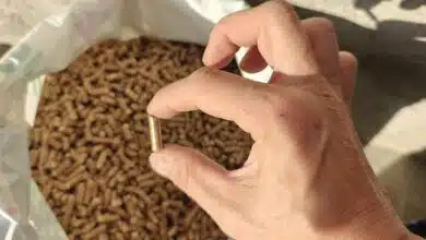 Des pellets fabriqués à partir de la biomasse de chanvre.