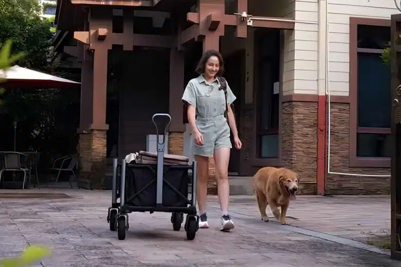 Un chariot électrique intelligent qui peut rouler seul et s'adapter au terrain pour le transport de vos charges.