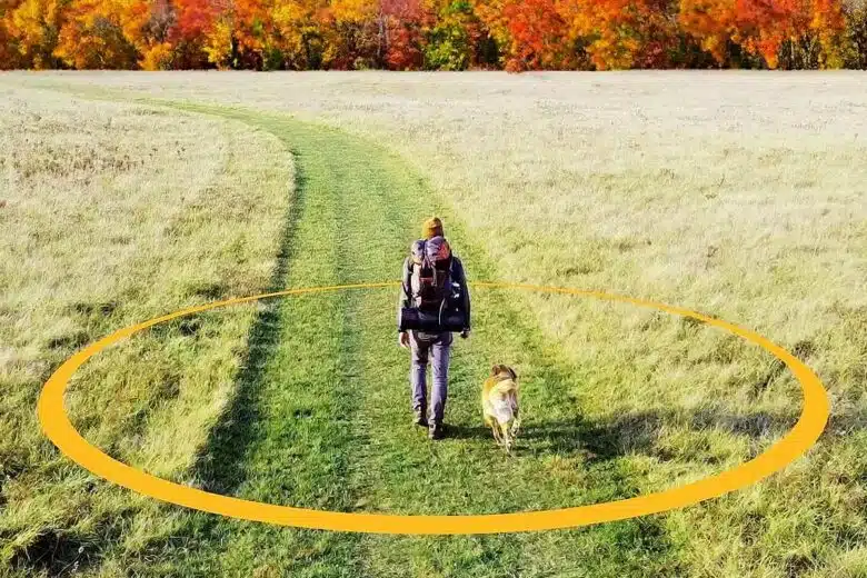 Avec cette laisse virtuelle, vous pouvez définir le périmètre autorisé pour votre chien tout autour de vous.