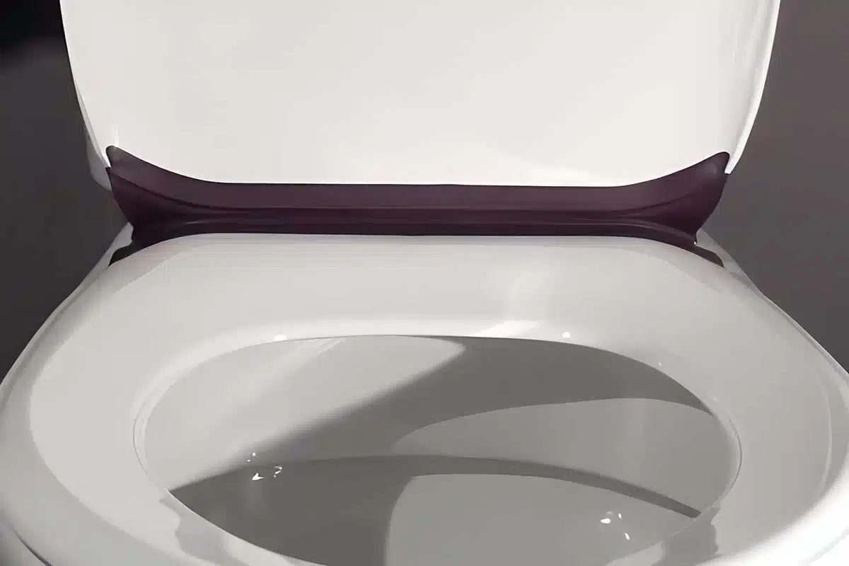 L'invention d'une lunette de WC et d'un abattant à charnière souple pour faciliter le nettoyage et l'hygiène des toilettes.