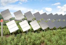 Un tracker dédié aux panneaux photovoltaïques à concentration pour optimiser leur production d'électricité.