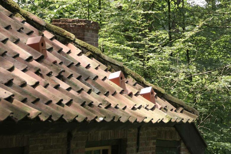 Une toiture avec des tuiles nichoir pour que les oiseaux puissent nidifier paisiblement.