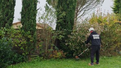 Un homme passe la débroussailleuse.