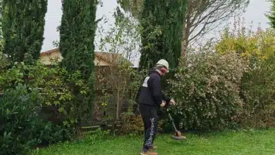 Un homme débroussaille un jardin.