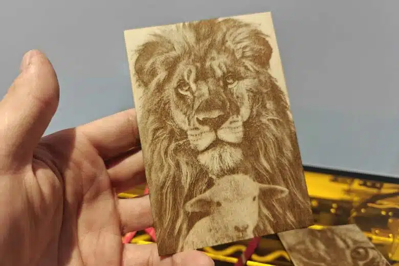 Test de gravure d'un lion,