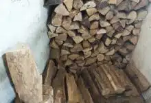 Un tas de bois de chauffage.