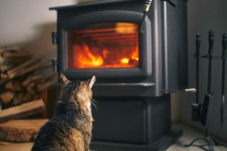 Un chat devant un poêle à bois.