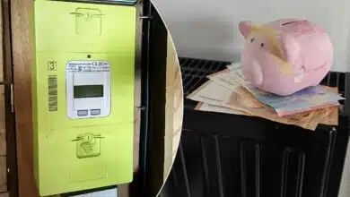 Un compteur Linky et une tirelire cochon avec de l'argent.