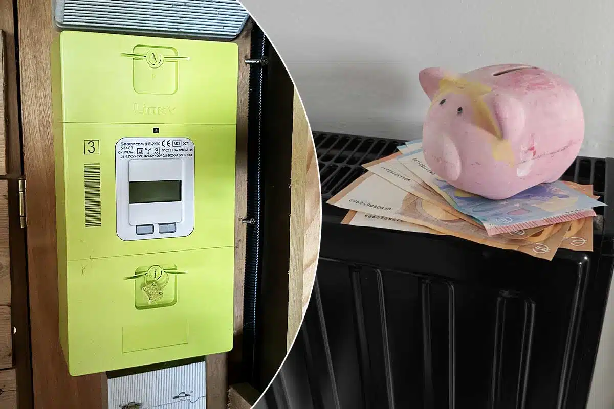 Un compteur Linky et une tirelire cochon avec de l'argent.