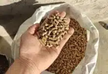 Une main qui tient des pellets au-dessus d'un sac ouvert.