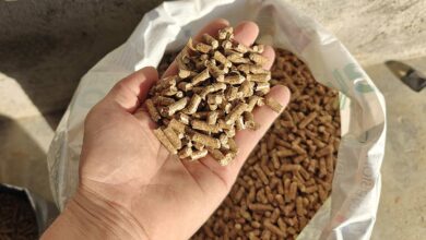 Une main qui tient des pellets au-dessus d'un sac ouvert.