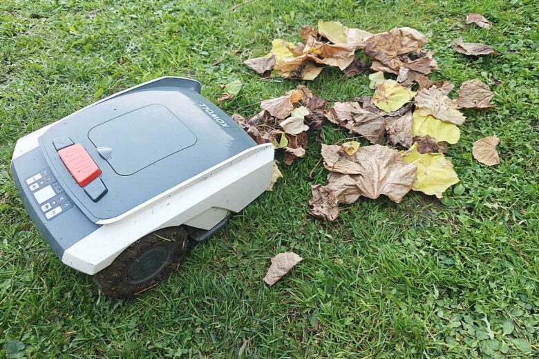 Un robot tondeuse devant des feuilles.