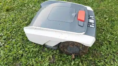 Un robot tondeuse en fonctionnement dans le jardin.