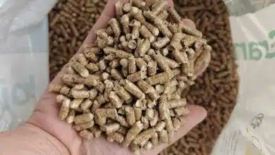 Des pellets de bois pour le chauffage.