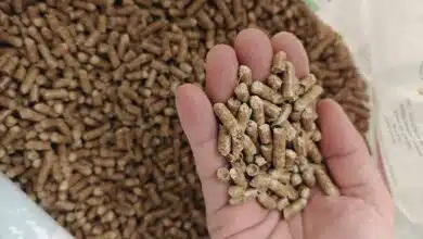 Pellets de bois tenus en mains au-dessus de leur sac.