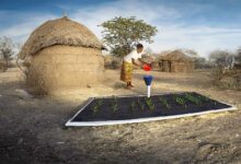 Un système d'irrigation en Tanzanie.