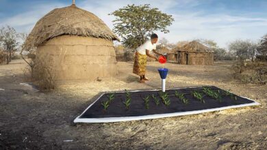 Un système d'irrigation en Tanzanie.